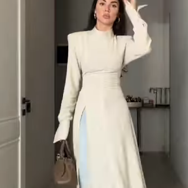 Formal Women'S Wear - Women's Elegant High Neck Long Sleeve